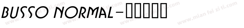 Busso Normal字体转换